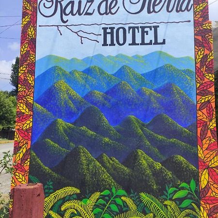 Hotel Raiz De Sierra Matlapa Dış mekan fotoğraf