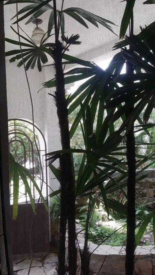 Hotel Raiz De Sierra Matlapa Dış mekan fotoğraf